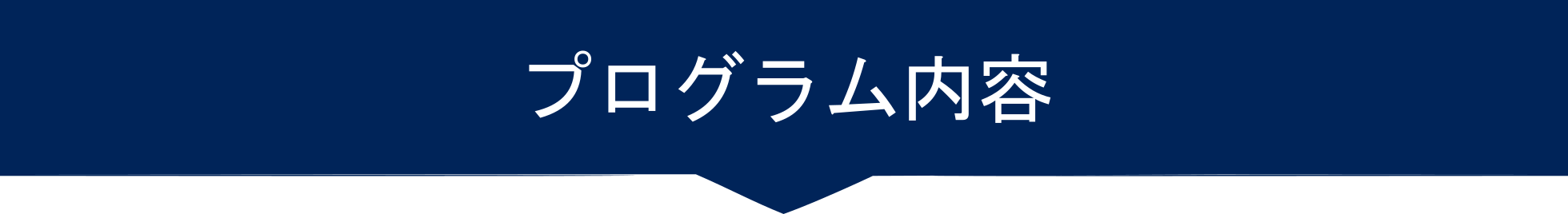 プログラム内容